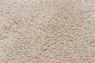 PLAİN BEİGE Easy-to-Use  Dustproof Soft Textured Modern Fluffy Shaggy Carpet