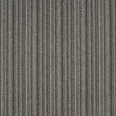 Tampa 1575